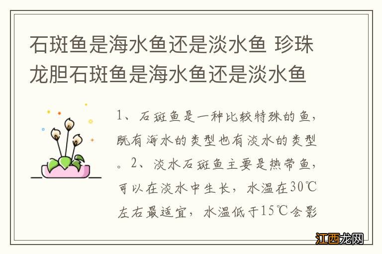 石斑鱼是海水鱼还是淡水鱼 珍珠龙胆石斑鱼是海水鱼还是淡水鱼