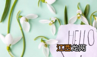 槐花怎么吃