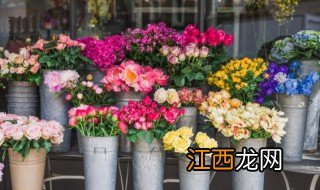 木本牡丹在家种植方法，木本牡丹在家种植方法和步骤