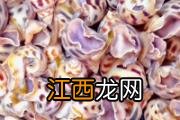 新鲜花螺可以冷冻吗 花螺怎么冷冻保存