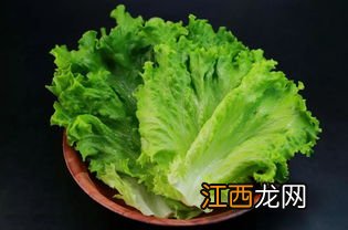 生菜怎么么在