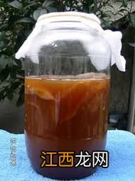 红茶菌怎么养