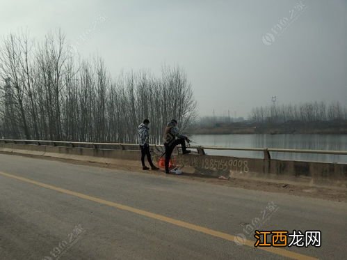 冬天到了桥筏怎么钓 冬天到了桥筏钓鱼技巧