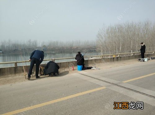 冬天到了桥筏怎么钓 冬天到了桥筏钓鱼技巧