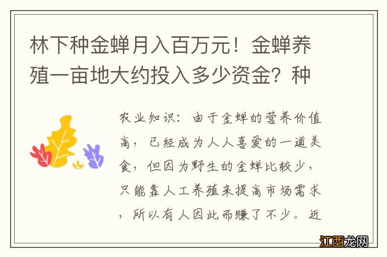 林下种金蝉月入百万元！金蝉养殖一亩地大约投入多少资金？种什么树