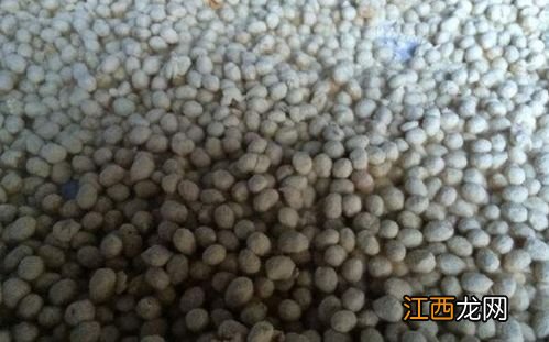 绍兴的霉黄豆怎么做