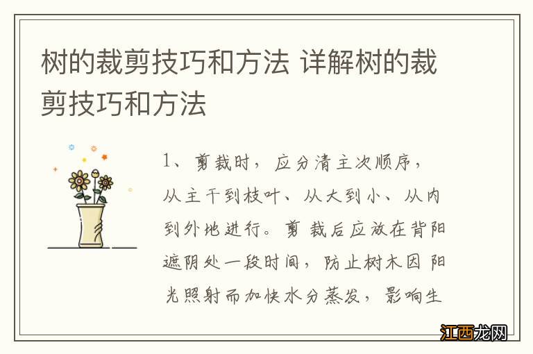 树的裁剪技巧和方法 详解树的裁剪技巧和方法