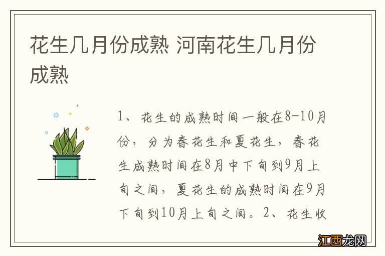 花生几月份成熟 河南花生几月份成熟