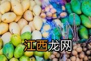 怎么选茶树菇 茶树菇有什么营养成分