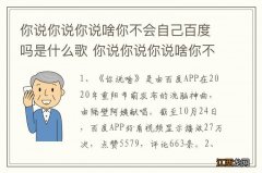 你说你说你说啥你不会自己百度吗是什么歌 你说你说你说啥你不会自己百度吗