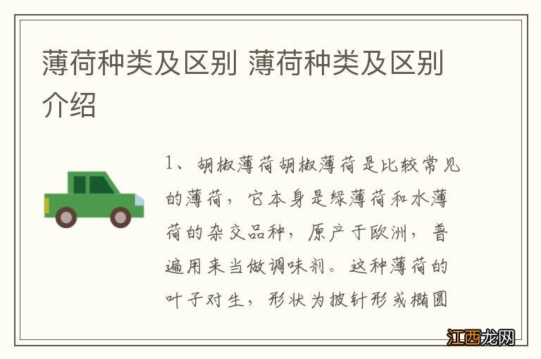 薄荷种类及区别 薄荷种类及区别介绍