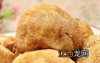 猴头菇不可以跟什么一起吃