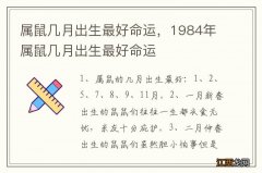 属鼠几月出生最好命运，1984年属鼠几月出生最好命运