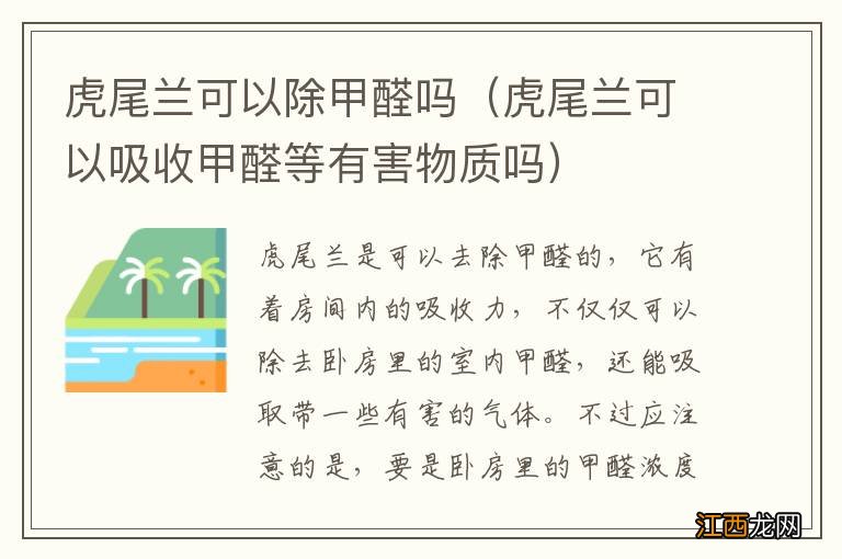 虎尾兰可以吸收甲醛等有害物质吗 虎尾兰可以除甲醛吗