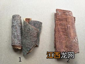 怎么识别肉桂的好坏