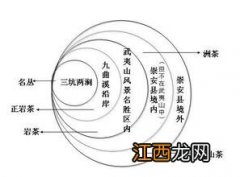 岩茶茶类级别怎么分