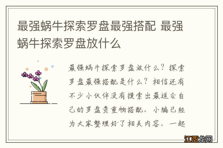 最强蜗牛探索罗盘最强搭配 最强蜗牛探索罗盘放什么