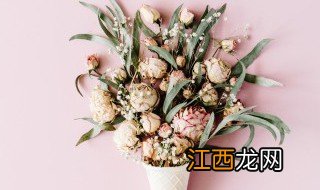 祝福女性长辈美丽简短 简短的祝福女性长辈美丽