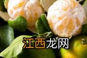 杏鲍菇怎么洗 杏鲍菇怎么切