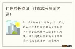 伴你成长歌词简谱 伴你成长歌词