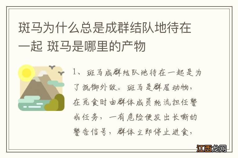 斑马为什么总是成群结队地待在一起 斑马是哪里的产物