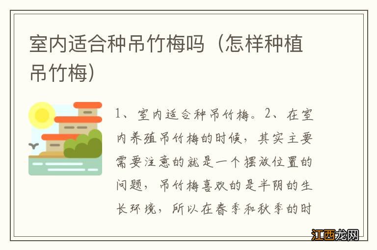 怎样种植吊竹梅 室内适合种吊竹梅吗