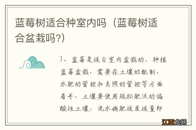 蓝莓树适合盆栽吗? 蓝莓树适合种室内吗