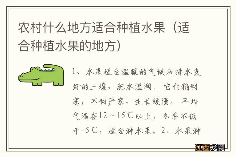 适合种植水果的地方 农村什么地方适合种植水果