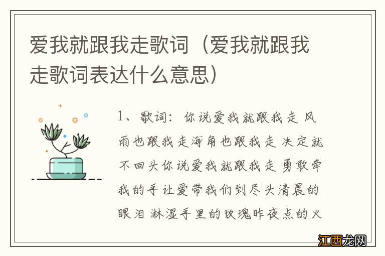 爱我就跟我走歌词表达什么意思 爱我就跟我走歌词