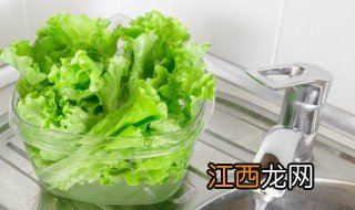 生菜适合种在室内吗 生菜适合种在室内吗冬天