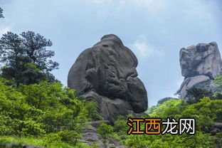 黄山奇石有的像什么 有的像什么 有的像一块大磨盘有的像一只猴子