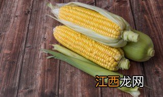 新玉米饲养使用注意事项，新玉米饲养使用注意事项是什么