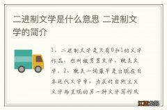 二进制文学是什么意思 二进制文学的简介