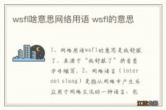 wsfl啥意思网络用语 wsfl的意思