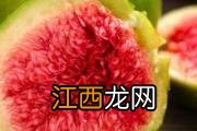 新鲜的无花果吃了会上火吗 无花果吃多了会怎么样