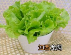 紫罗莎生菜长多久