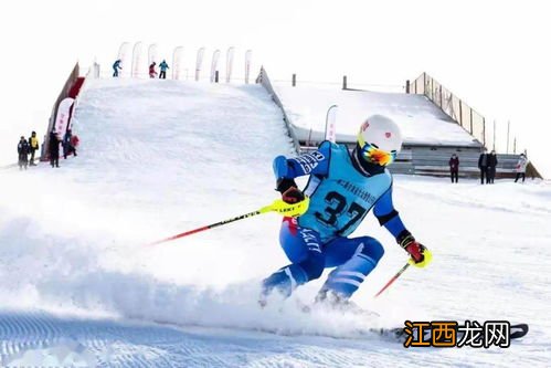 奥运会冰雪项目 奥运会冰雪项目简述