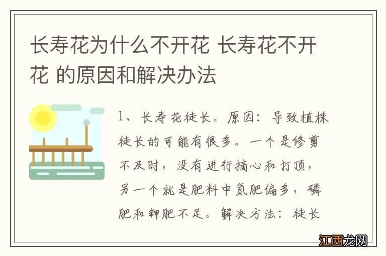 长寿花为什么不开花 长寿花不开花 的原因和解决办法