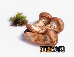 松茸能放多久多久