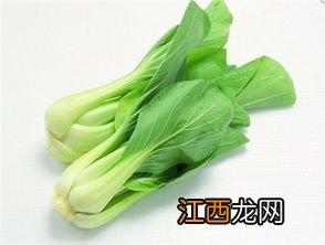 青菜浇了粪便多久能吃