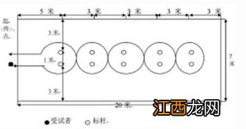 篮球运球和传球的要点是什么 有关篮球的运球和传球要点介绍