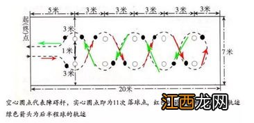 篮球运球和传球的要点是什么 有关篮球的运球和传球要点介绍