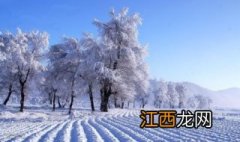 雪的作用是什么