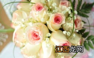 情人节适合什么菜