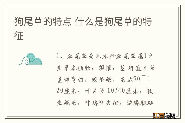 狗尾草的特点 什么是狗尾草的特征