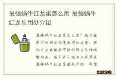 最强蜗牛红龙蛋怎么用 最强蜗牛红龙蛋用处介绍