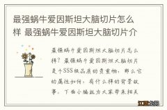 最强蜗牛爱因斯坦大脑切片怎么样 最强蜗牛爱因斯坦大脑切片介绍