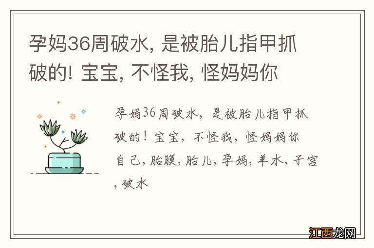 孕妈36周破水, 是被胎儿指甲抓破的! 宝宝, 不怪我, 怪妈妈你自己