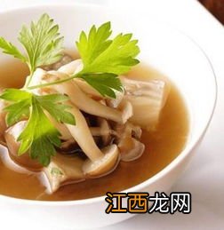 菌菇汤用什么菌最好