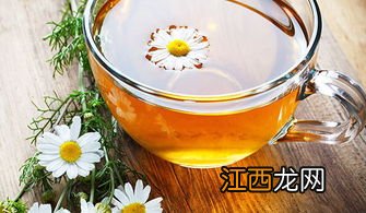 菊花怎么冲泡方法